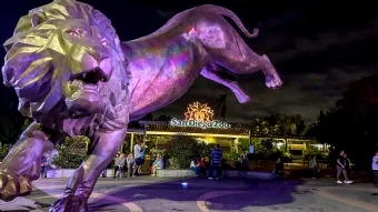 Jungle Bells at the San Diego Zoo 2025 Guide