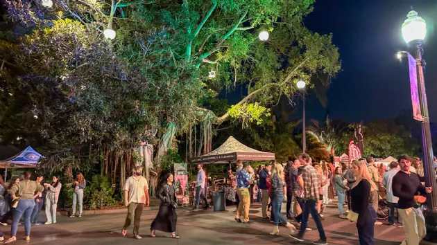 Walking Around at the Food, Wine and Brew at the San Diego Zoo