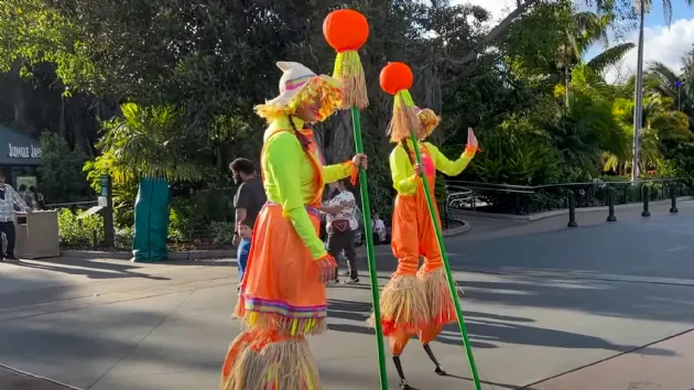 Boo Crew During Halgloween at the San Diego Zoo