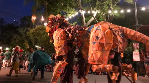 Lion at Nighttime Parade at the San Diego Zoo