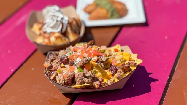 Carne Asada Nachos and Other Mexican Food Items at the Seven Seas Food Festival in SeaWorld San Diego