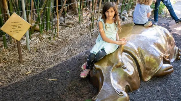 The San Diego Zoo Has Tons of Play Structures for Kids