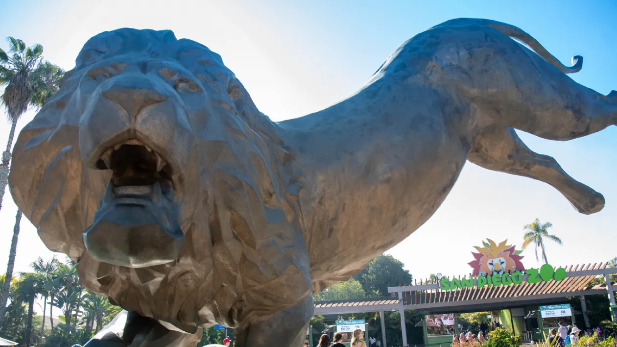 Lion Statue at the Entrance to the San Diego Zoo