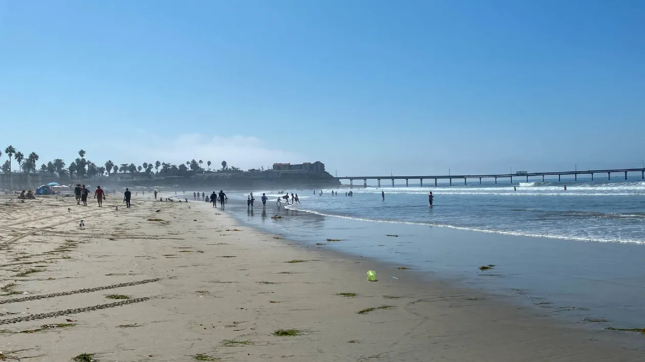 Ocean Beach has something for everyone